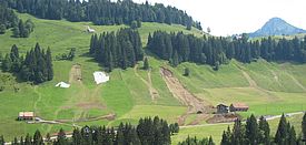 Mehrere Rutschungen haben braune Schneisen in einen grünen Hang bei Oberiberg SZ geschlagen. 