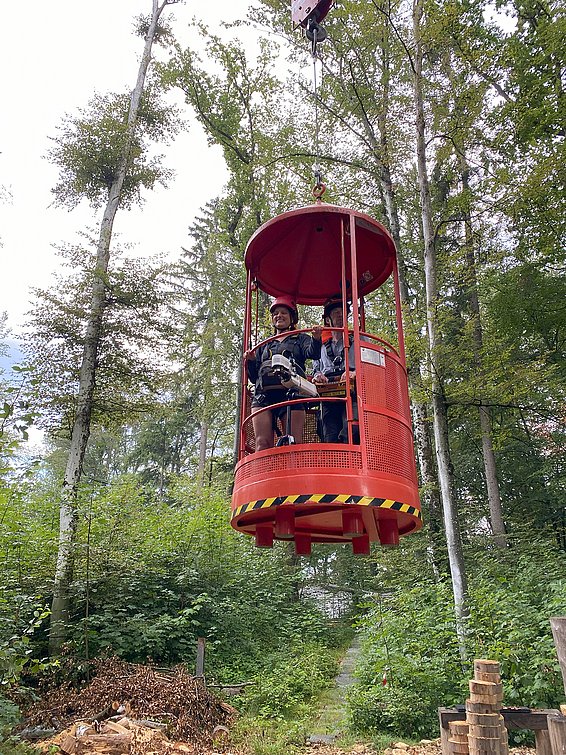 In einer von einem Kran getragenen Kabine erreichte Eugenie Mas die 30m hohen Baumkronen in Hölstein (BL). (Foto: Alice Gauthey) 