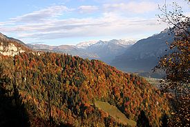 Artenreicher Laub-Mischwald bei Brienz (Kanton Bern, Schweiz). Foto: Reinhard Lässig / WSL