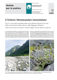 Il lichene Stereocaulon incrustatum. Focus su una specie protetta delle zone golenali dal punto di vistadella conservazione della natura e dell‘ingegneria idraulica
