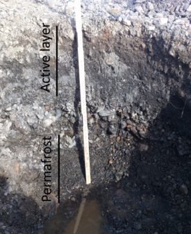 Soil profile of permafrost and the overlying active layer. Photo: Beat Frey (WSL)