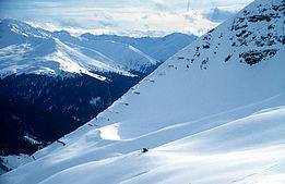 Eingeschneite Lawinenverbauung am Schiahorn in Davos im Winter 1999 (Foto: Marcia Phillips / SLF)