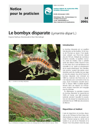 Le bombyx disparate