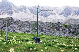 Ein SLF-Mitarbeiter notiert Vegetations-Daten an einer IMIS-Station im Bäretälli bei Davos. (Foto: Christian Rixen / SLF)