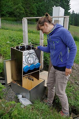 Heute untersuchen die Forschenden mithilfe von stabilen Isotopen zum Beispiel auch, wie lange das Wasser im Boden verweilt. So können Prognosen für Niedrigwasser verbessert werden. Bild: WSL