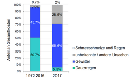 Säulendiagramm mit den Anteilen verschiedener Schadensursachen an den Gesamtkosten für die Periode 1972-2016 und für 2017